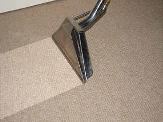 Picture of Carpet Cleaning
